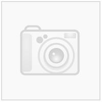 Sandefjord Fotball Gatelaget Sort N Transfermerke  250mm x 63mm